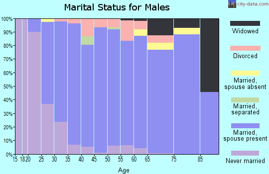 Zip code 49419 marital status for males