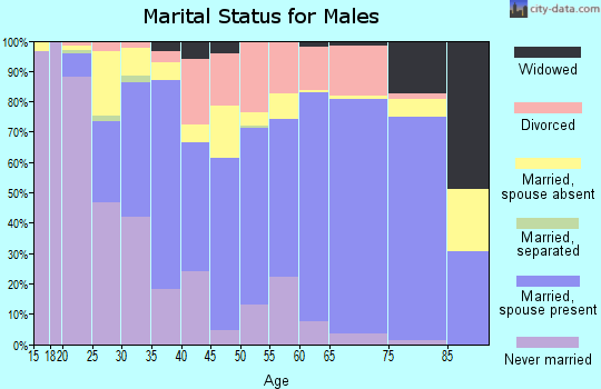 Zip code 49420 marital status for males