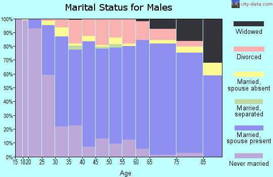 Zip code 49423 marital status for males