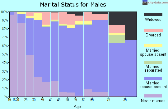 Zip code 49424 marital status for males