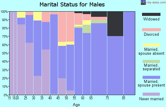 Zip code 49425 marital status for males