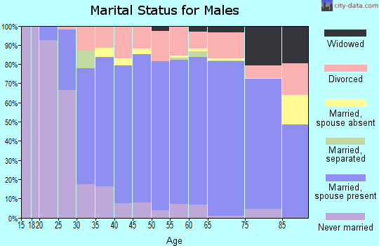 Zip code 49431 marital status for males