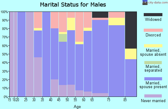 Zip code 49436 marital status for males