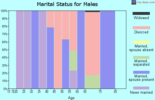 Zip code 49440 marital status for males