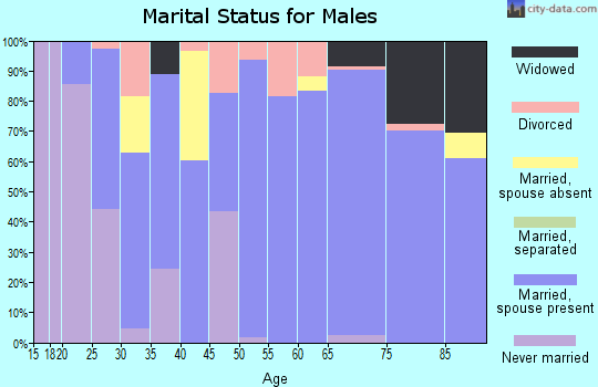 Zip code 49446 marital status for males