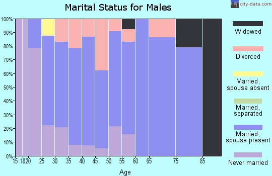 Zip code 49448 marital status for males