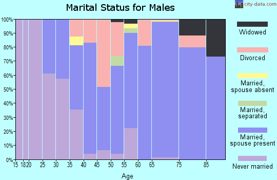 Zip code 49449 marital status for males