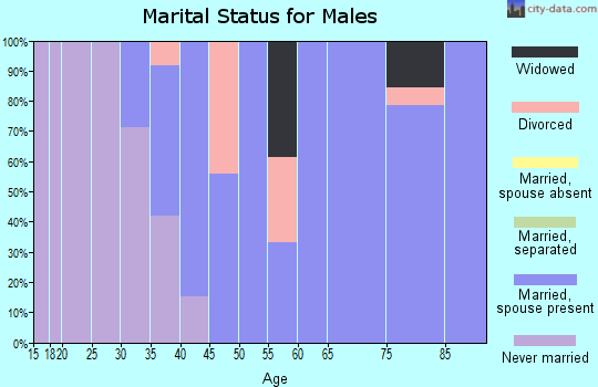 Zip code 49450 marital status for males