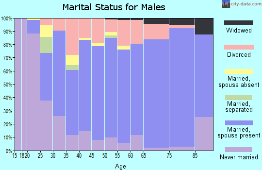 Zip code 49451 marital status for males