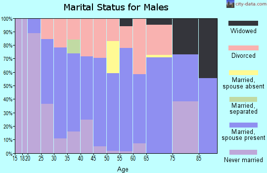 Zip code 49452 marital status for males