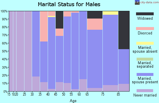 Zip code 49453 marital status for males