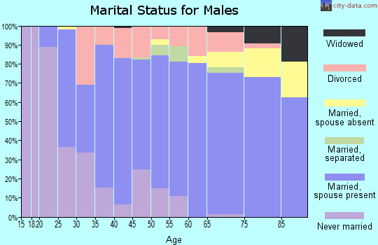 Zip code 49454 marital status for males
