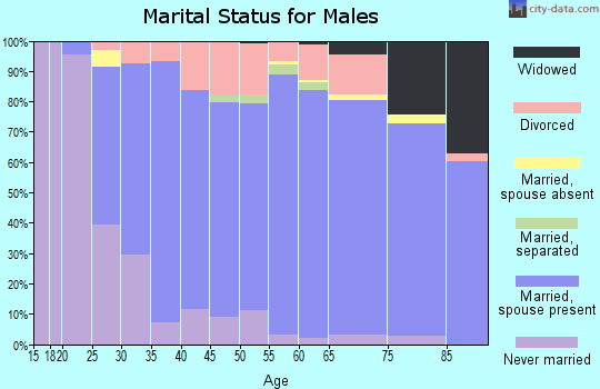 Zip code 49456 marital status for males