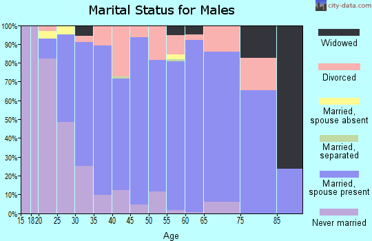 Zip code 49457 marital status for males
