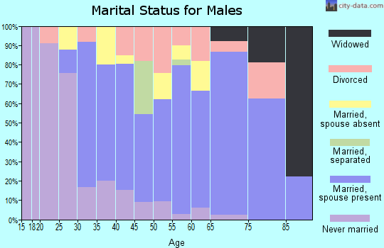 Zip code 49459 marital status for males