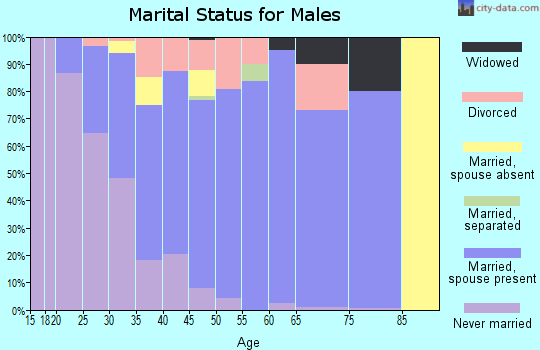 Zip code 49460 marital status for males