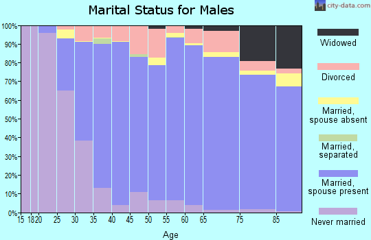 Zip code 49546 marital status for males