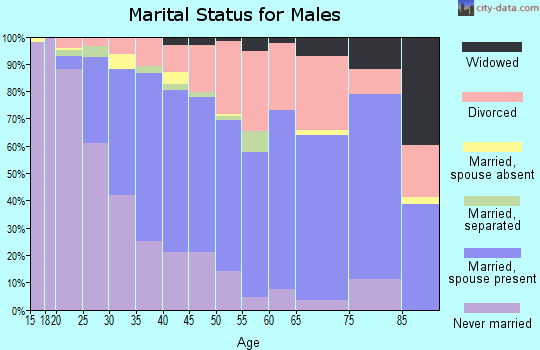 Zip code 49548 marital status for males