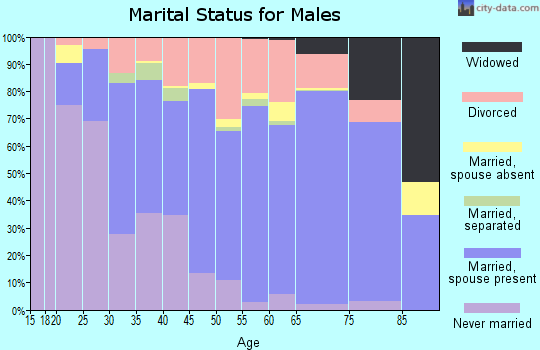 Zip code 49601 marital status for males