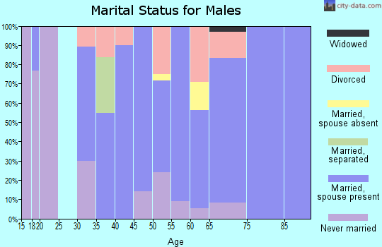 Zip code 49612 marital status for males