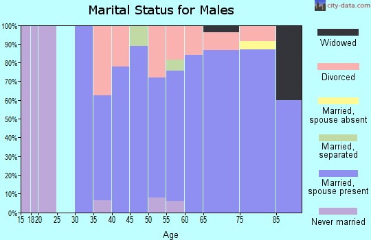 Zip code 49613 marital status for males