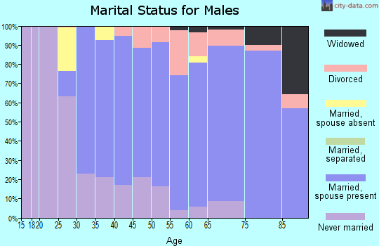 Zip code 49614 marital status for males