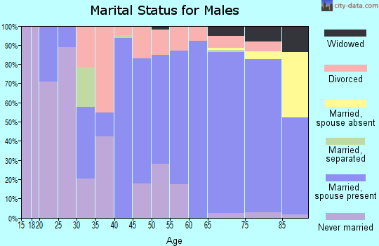 Zip code 49615 marital status for males