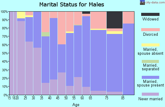 Zip code 49617 marital status for males