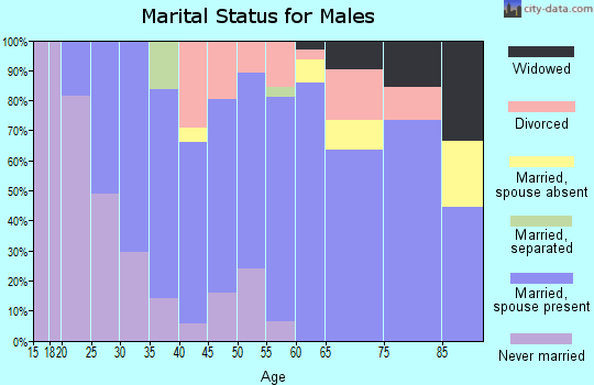 Zip code 49620 marital status for males