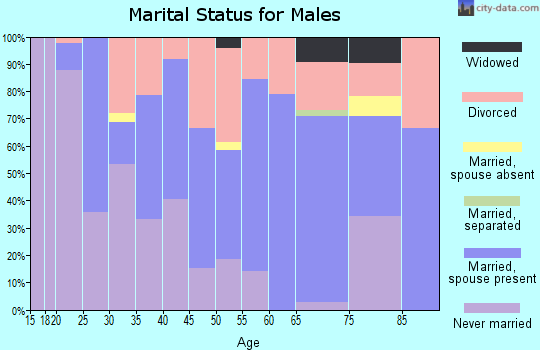 Zip code 49625 marital status for males