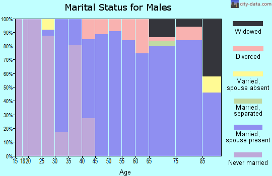 Zip code 49629 marital status for males