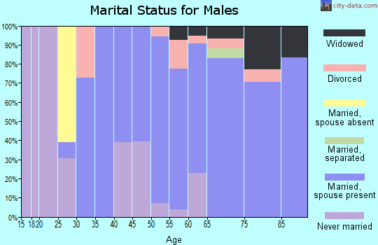 Zip code 49630 marital status for males