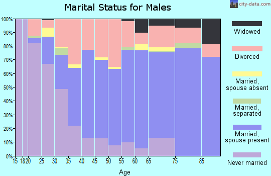 Zip code 49631 marital status for males