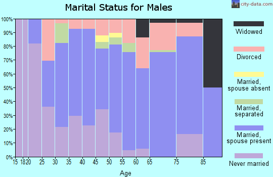 Zip code 49632 marital status for males