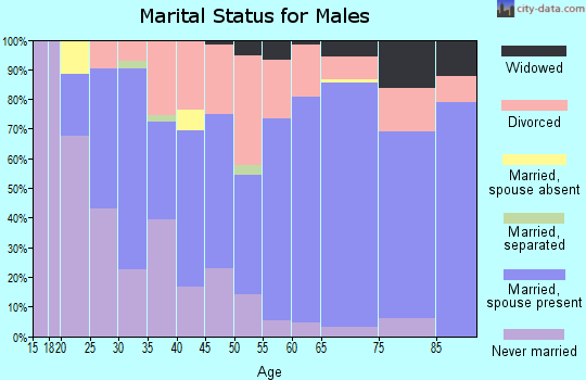 Zip code 49633 marital status for males