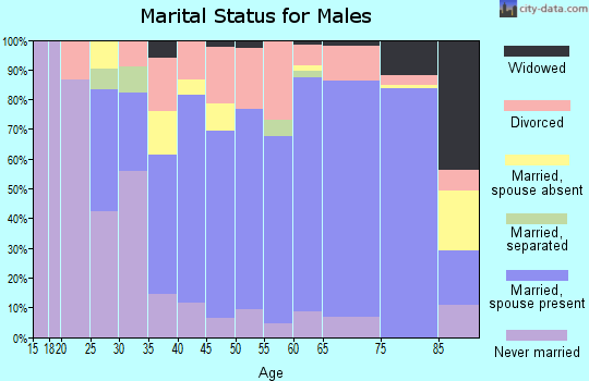 Zip code 49635 marital status for males
