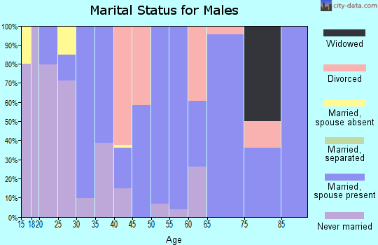 Zip code 49637 marital status for males