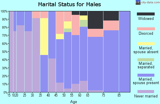 Zip code 49638 marital status for males