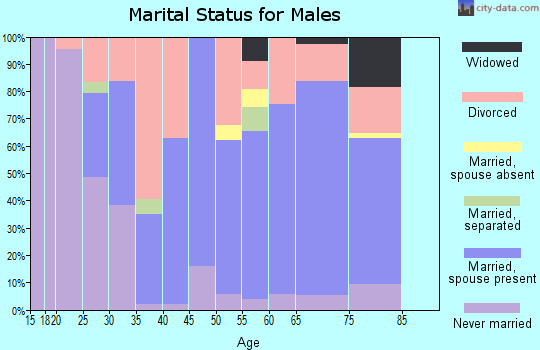 Zip code 49639 marital status for males