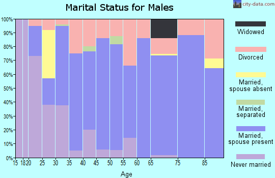 Zip code 49643 marital status for males