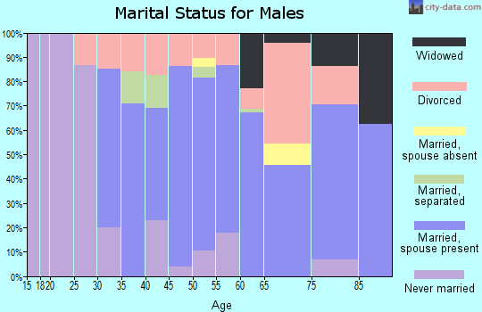 Zip code 49645 marital status for males