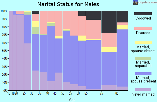 Zip code 49646 marital status for males