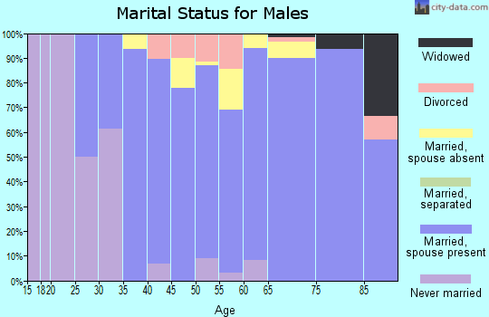 Zip code 49648 marital status for males