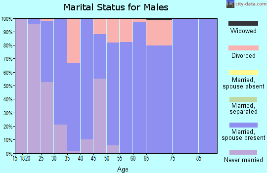 Zip code 49650 marital status for males