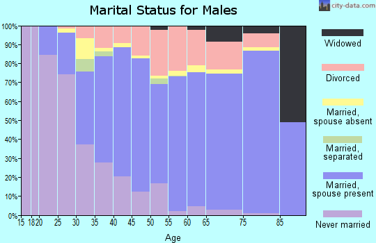 Zip code 49651 marital status for males