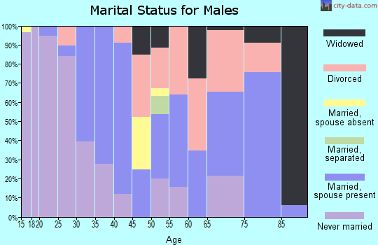 Zip code 49656 marital status for males