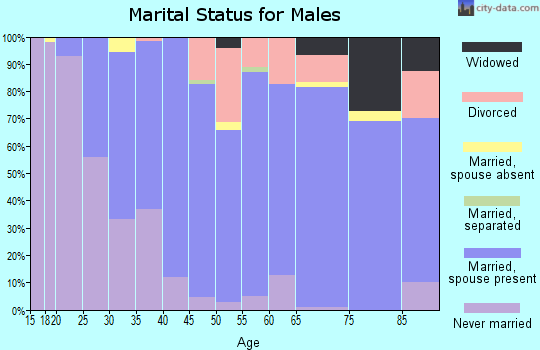Zip code 49657 marital status for males