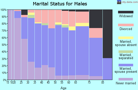 Zip code 49663 marital status for males