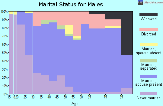 Zip code 49665 marital status for males