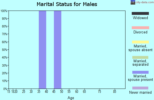Zip code 49666 marital status for males